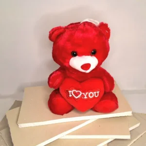Κόκκινο αρκουδάκι που κρατά καρδιά I love you